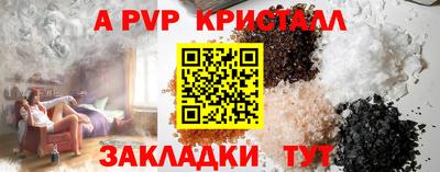 стаф Гатчина