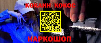 стаф Гатчина