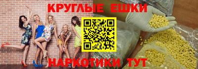 стаф Гатчина