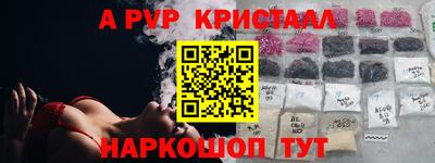стаф Гатчина