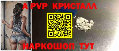 стаф Гатчина