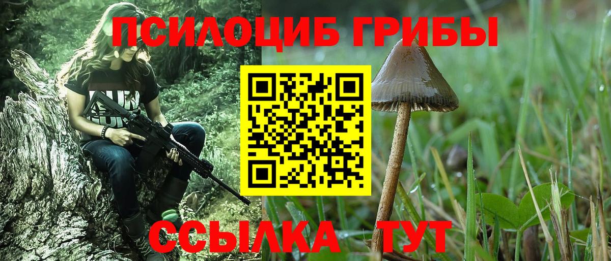 Псилоцибиновые грибы Cubensis  Вход с VPN  Галлюциногенные грибы прущие грибы  Киселёвск 